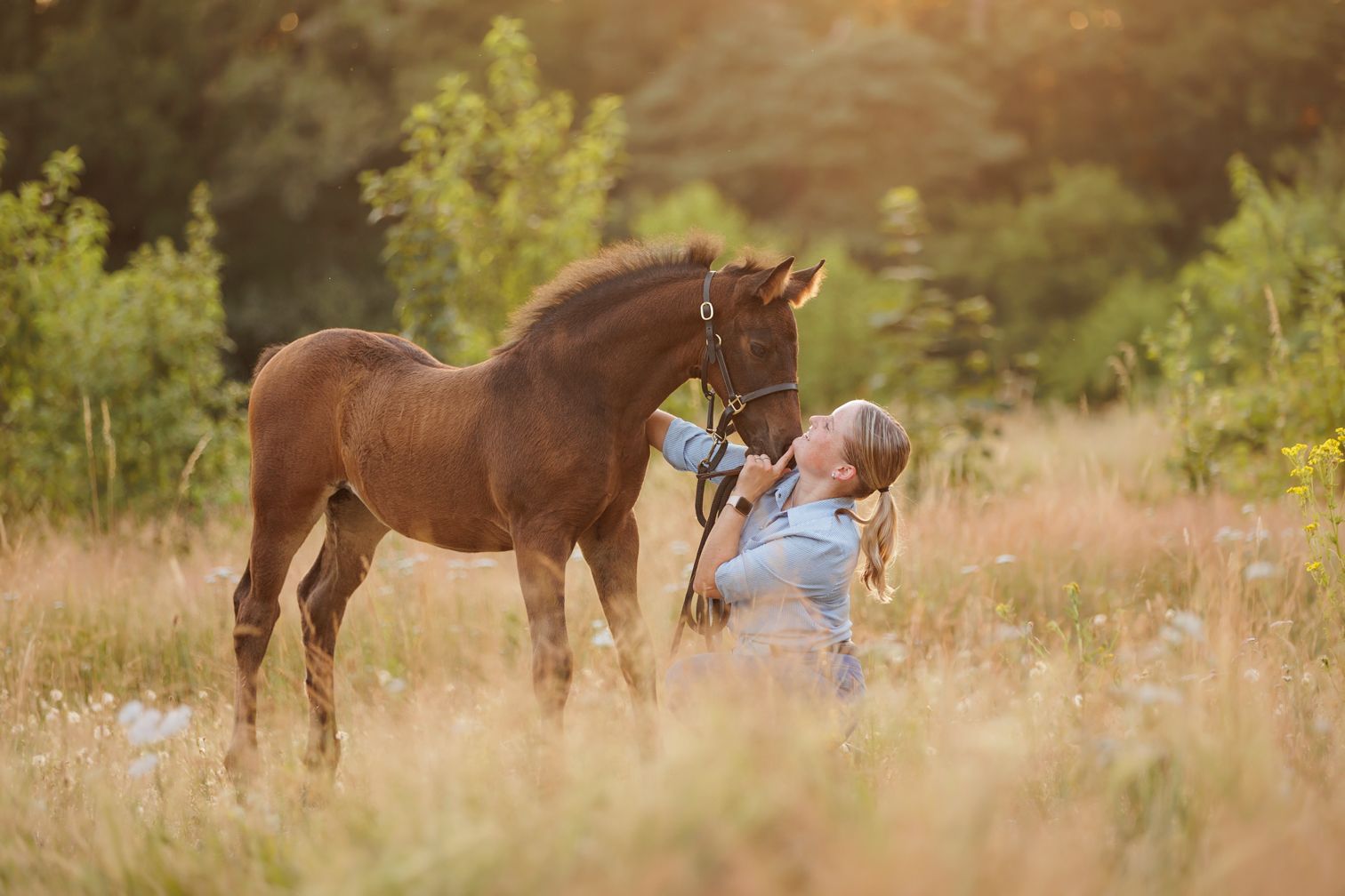 Klein paard en eigenaar knuffelen tijdens een fotoshoot
