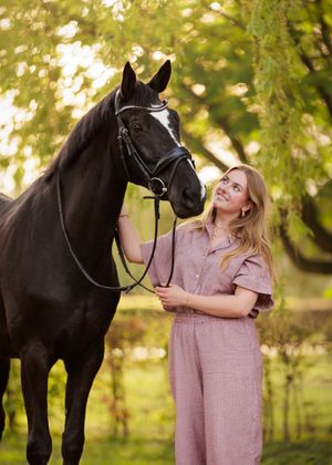 Paardenfotografie in Twente tijdens golden hour