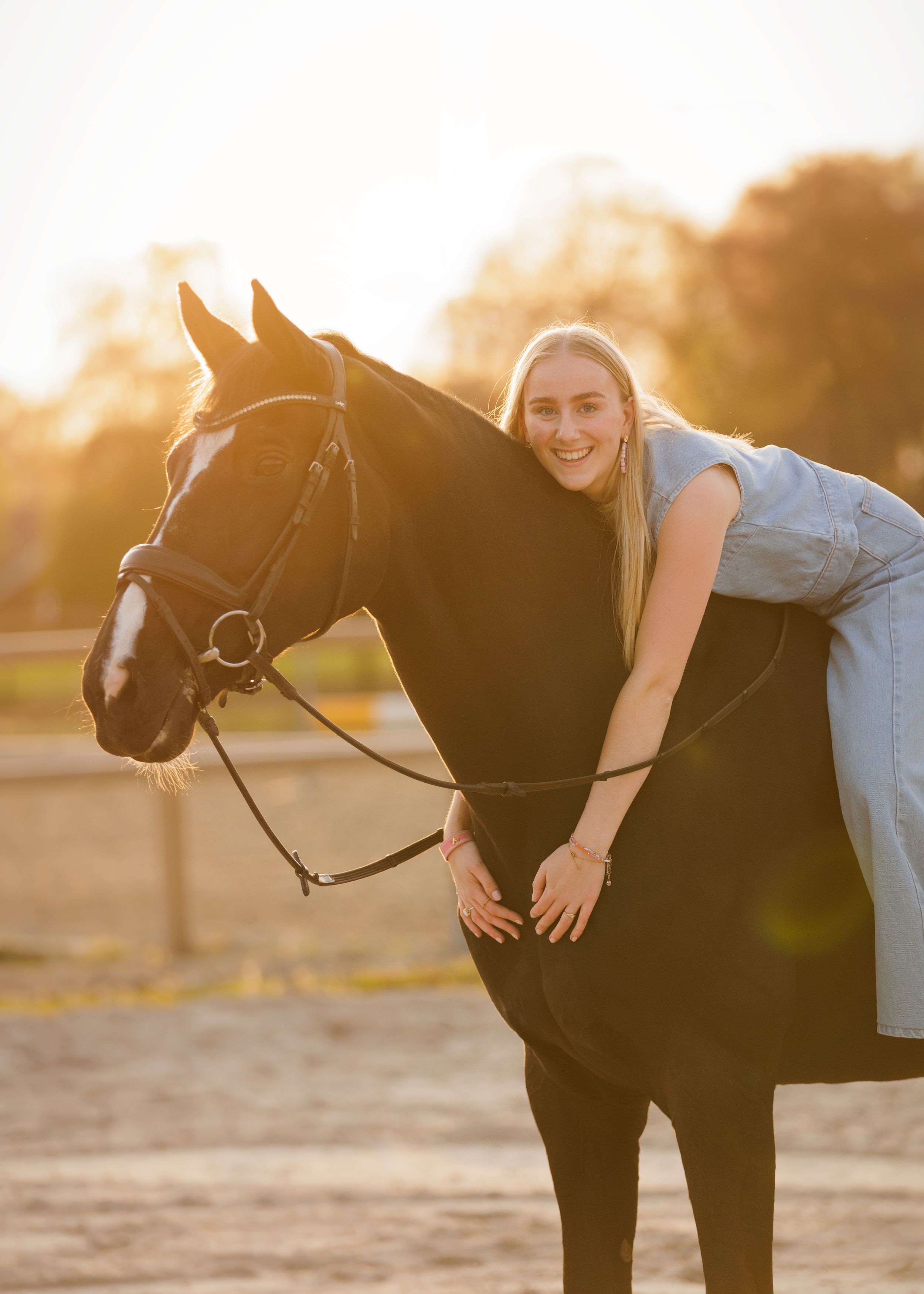 Zwart paard tijdens golden hour