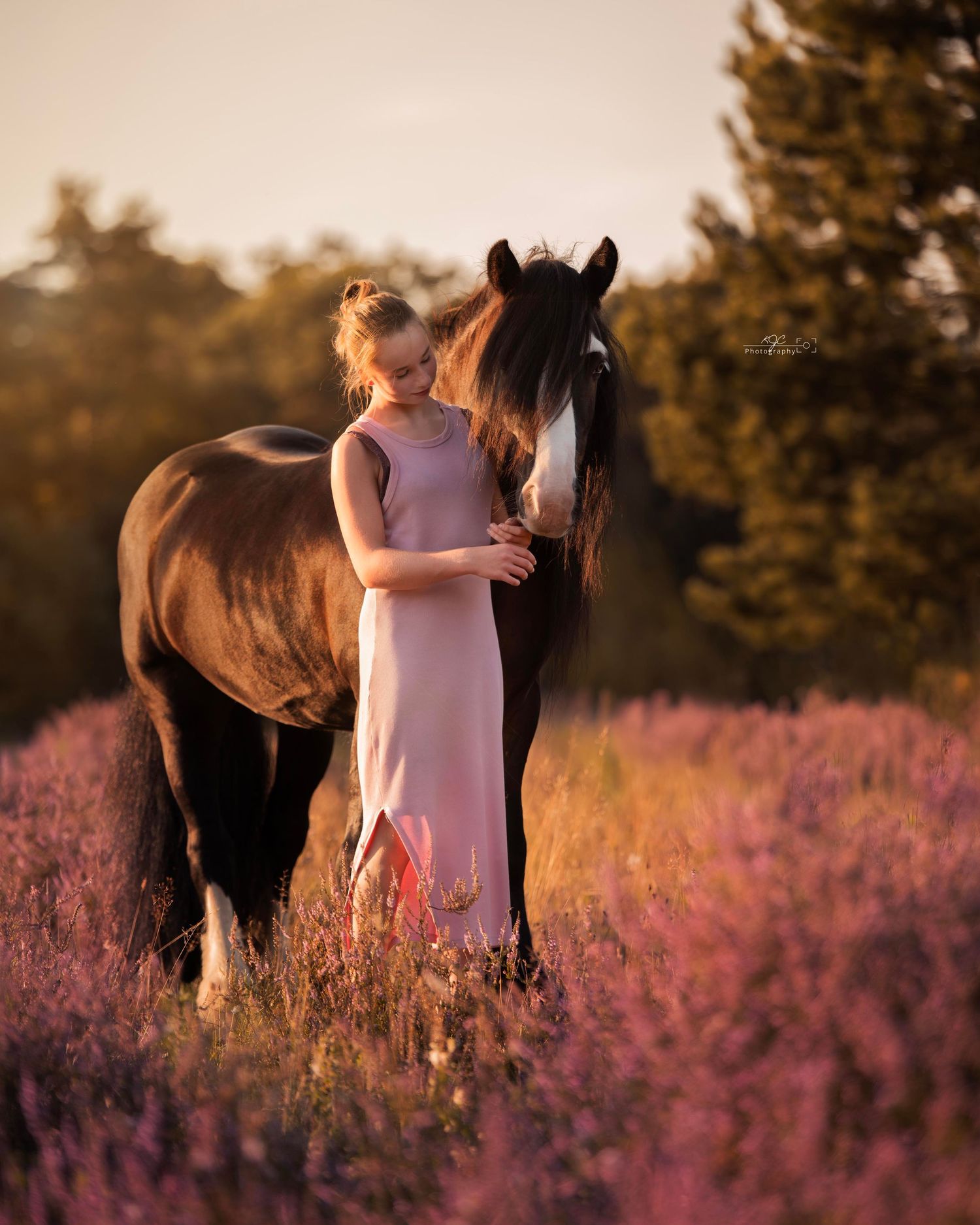 Meisje met haar lievelings pony tussen de heide tijdens zonsondergang. Fotoshoot met paard in de omgeving Doetinchem, Achterhoek.