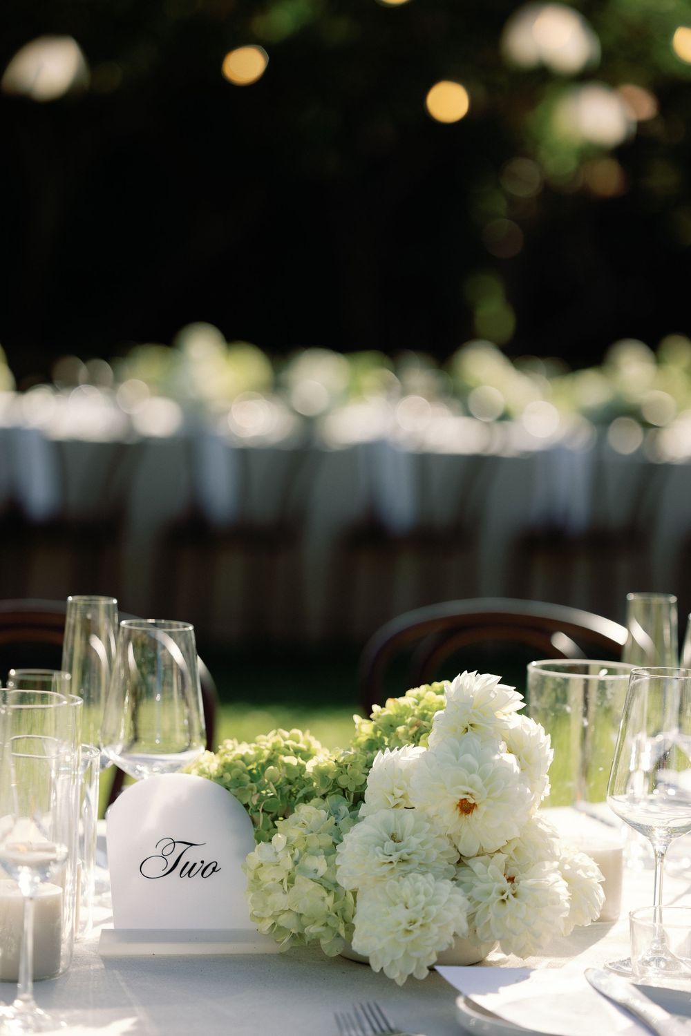 Elegant outdoor wedding reception table two with white hydrangea centerpiece, crystal glassware, and candles at dusk.