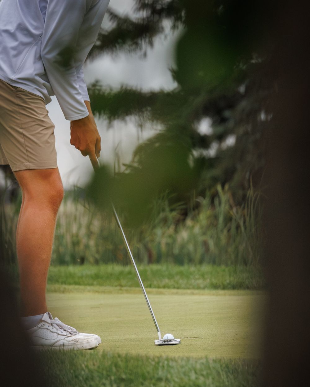 Golfer lines up a putt on the green framed by foliage in foreground.