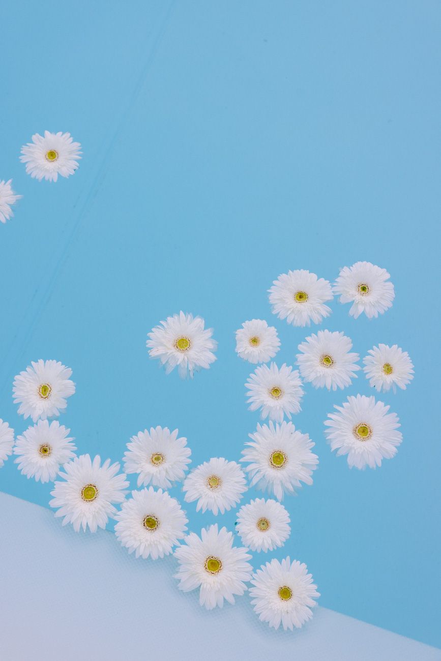 Floating daisies in the swimming pool of a beach club selected by a couple for their welcome party at Lake Garda. Planned by Solidea Events
