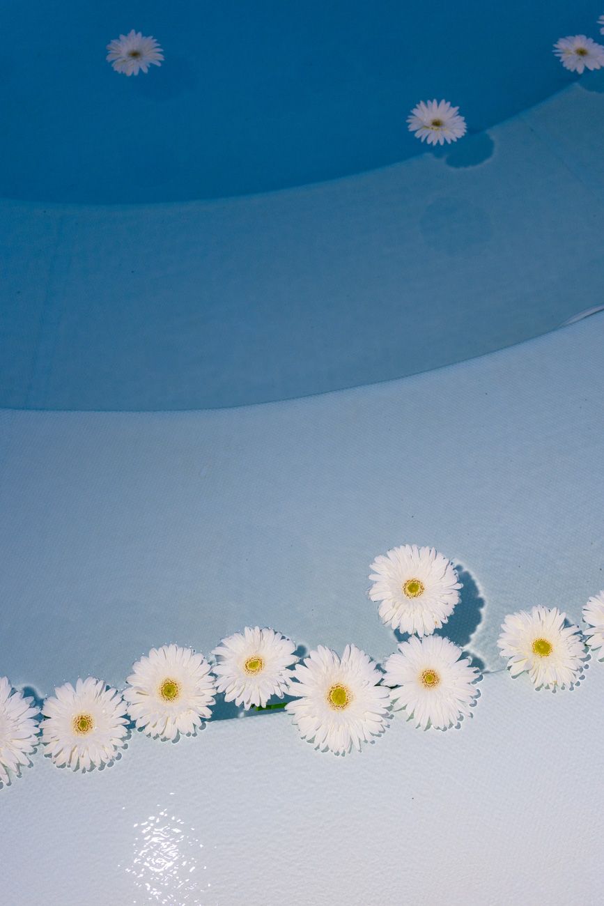 Floating daisies in the swimming pool of a beach club selected by a couple for their welcome party at Lake Garda. Planned by Solidea Events
