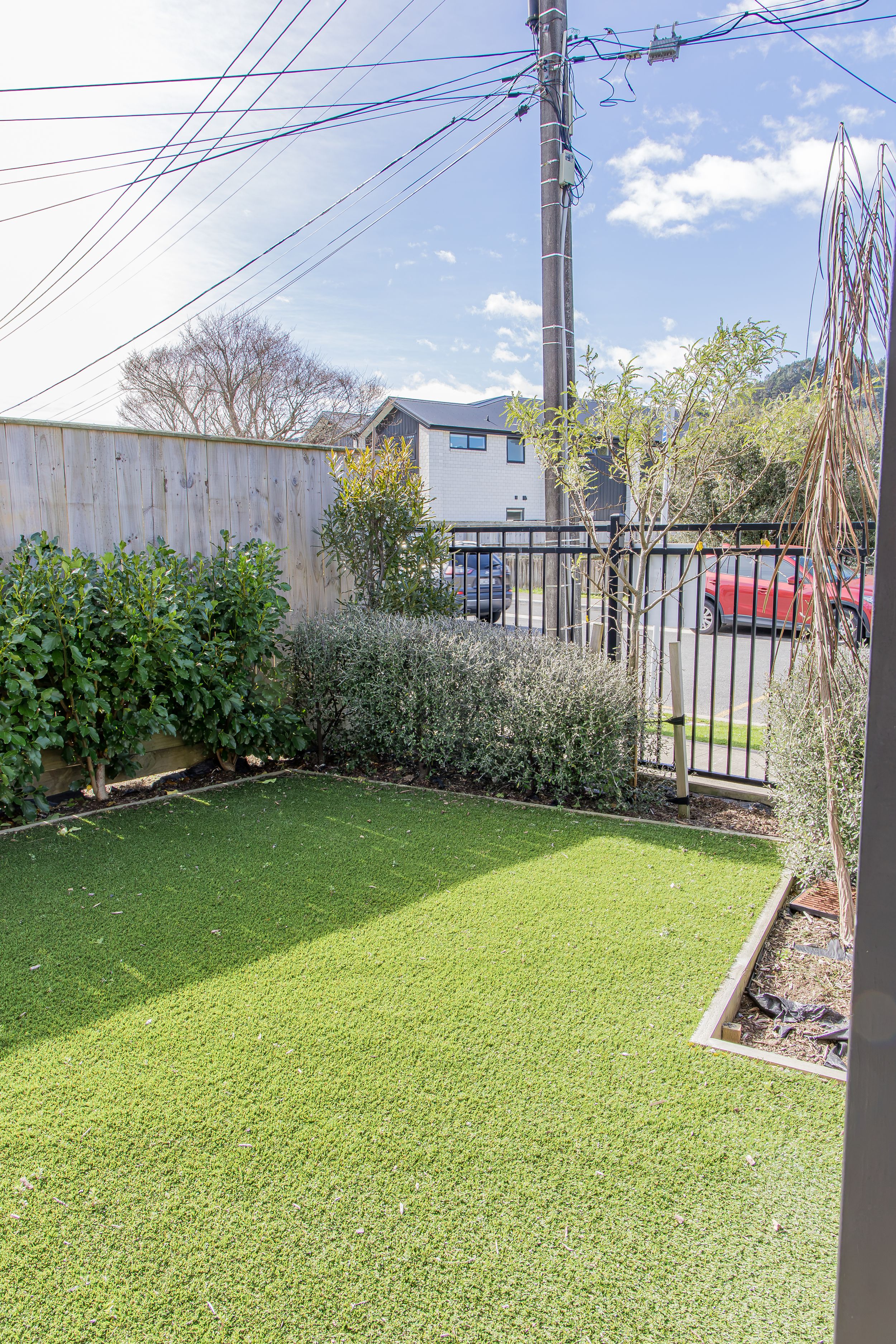 Sunny backyard with artificial grass, trimmed green hedges and a black fence overlooking a quiet suburban street with parked cars.