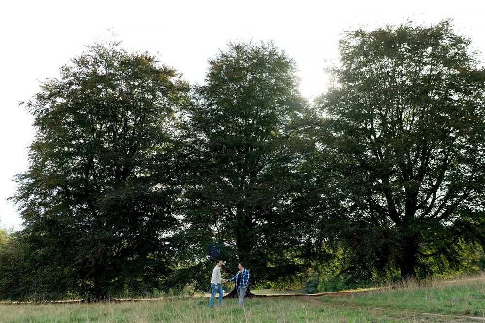 Two people stand beneath large green trees in an open field on a sunny day.