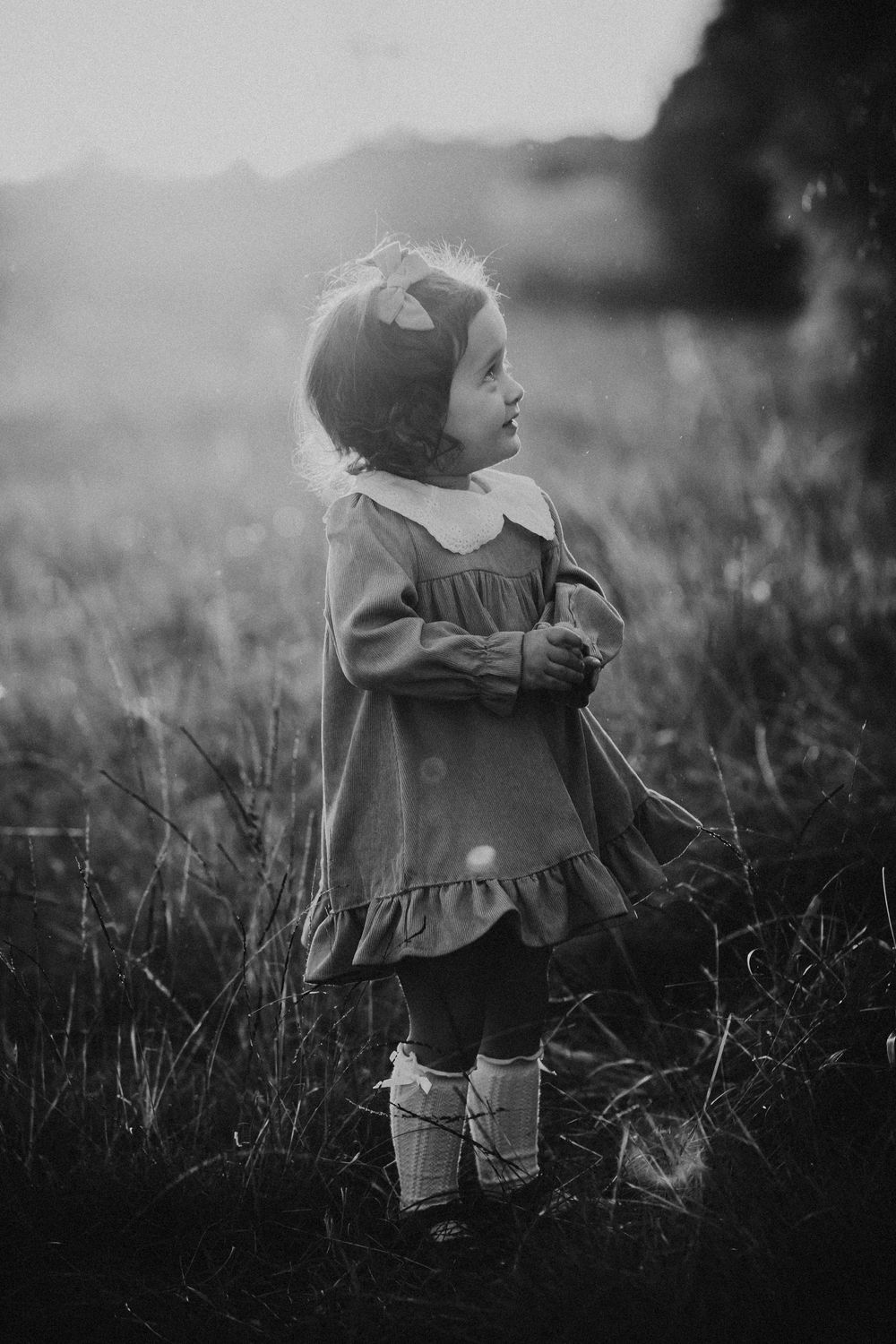 Apex, NC Family Photographer