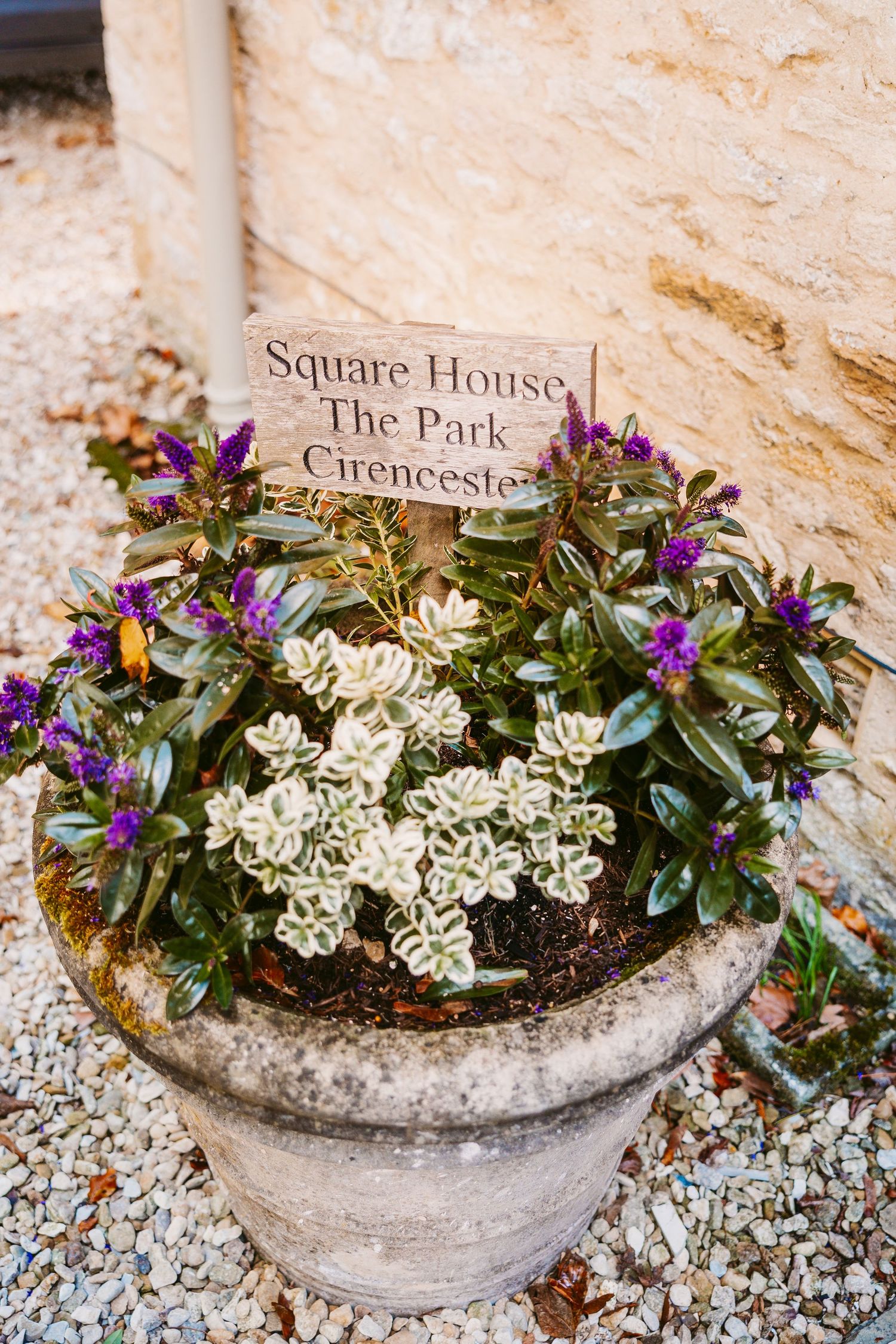 Stone planter with white variegated and purple flowering plants beside a Square House, The Park, Cirencester sign.