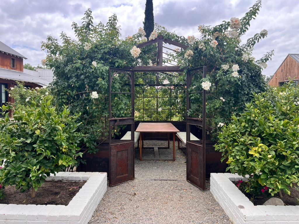 Lush garden pergola with climbing roses, wooden frame, and a dining table on gravel path, surrounded by green hedges.