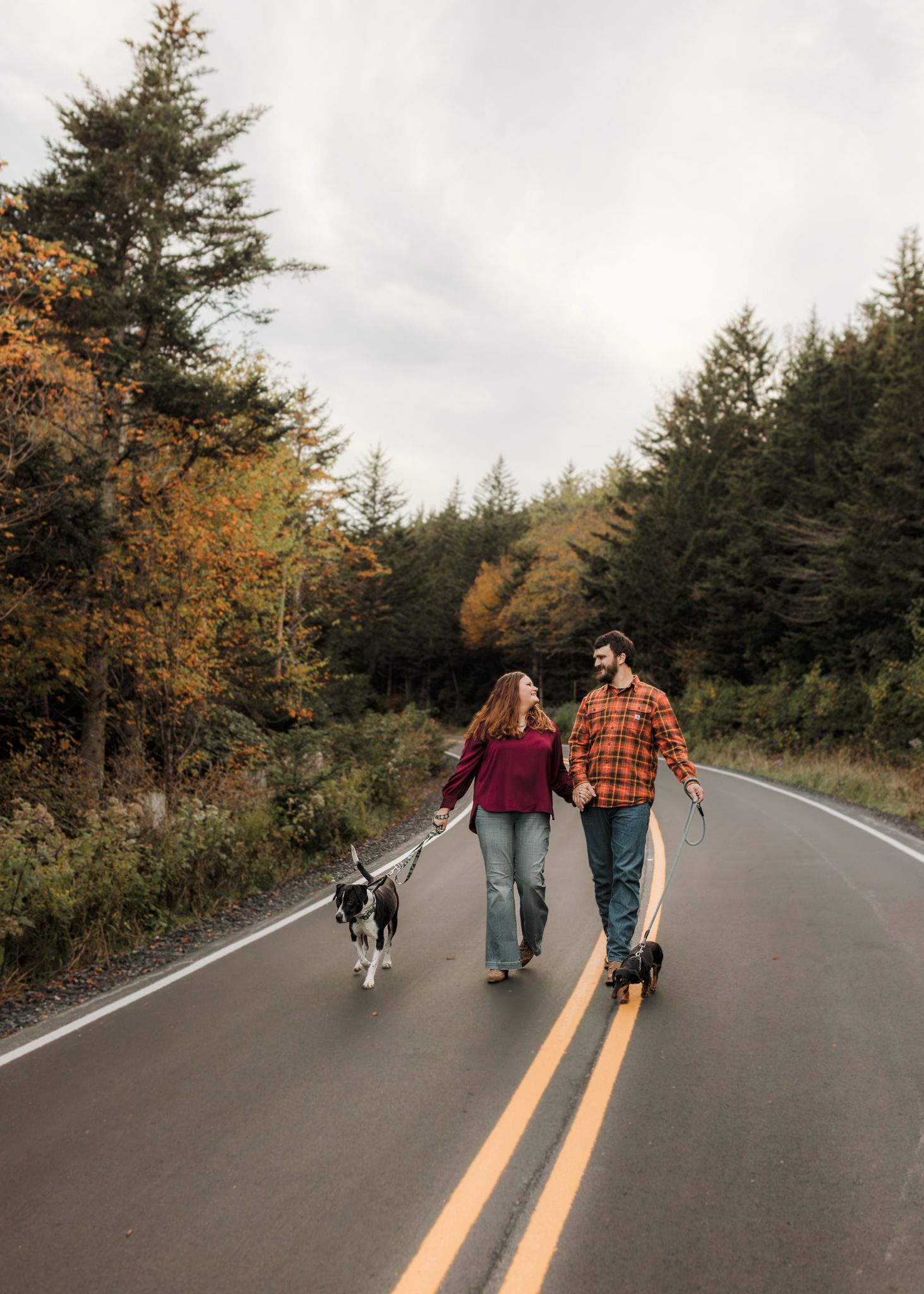 Couple walking dogs on a scenic forest road in autumn, holding hands among colorful fall foliage.