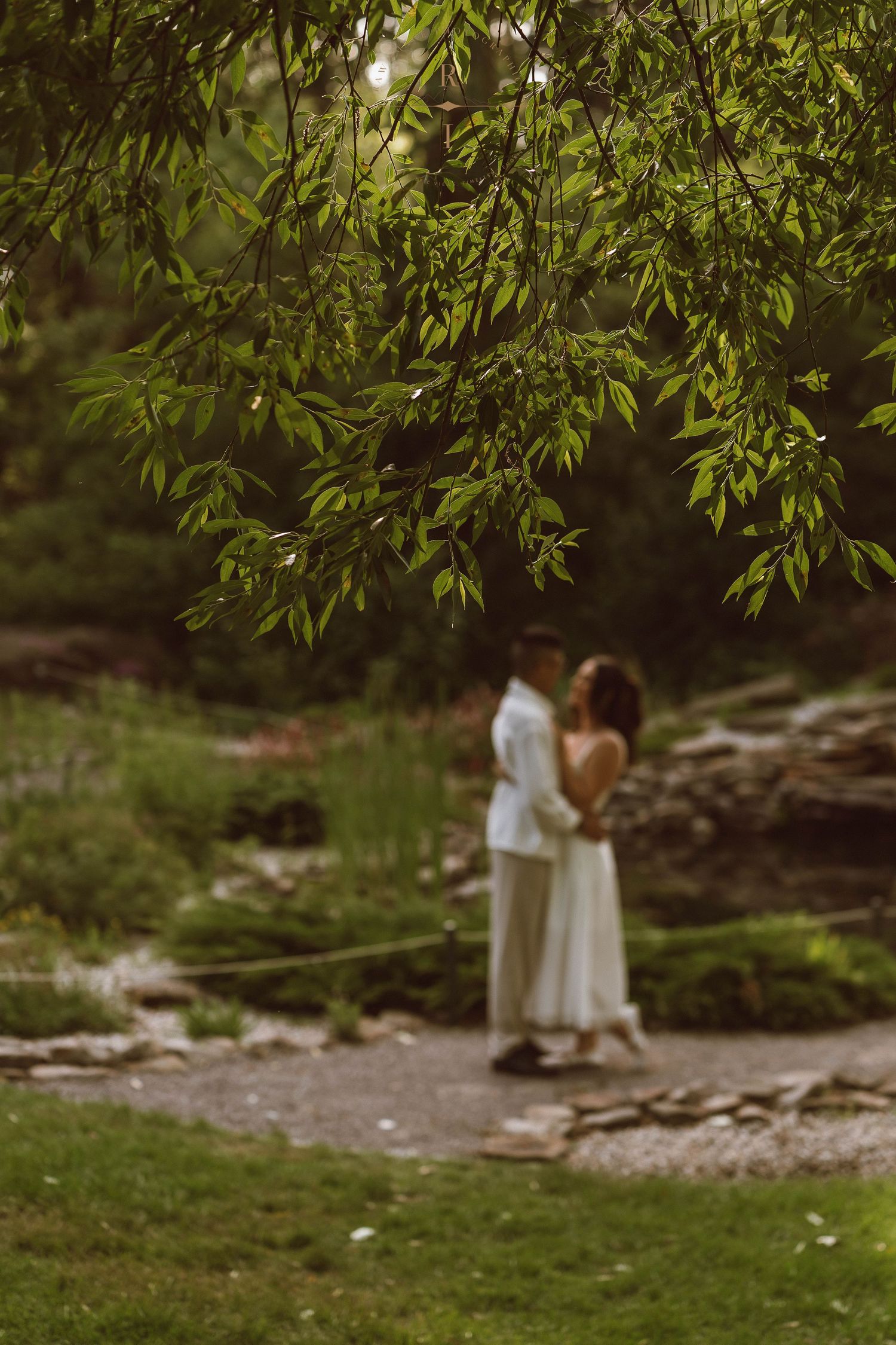 Couple in white attire embracing on a garden path, framed by lush green willow branches in soft focus.