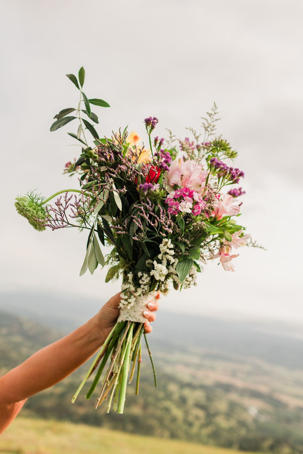 Hand holding a vibrant wildflower bouquet with pink, purple, and white blooms against a scenic countryside backdrop.