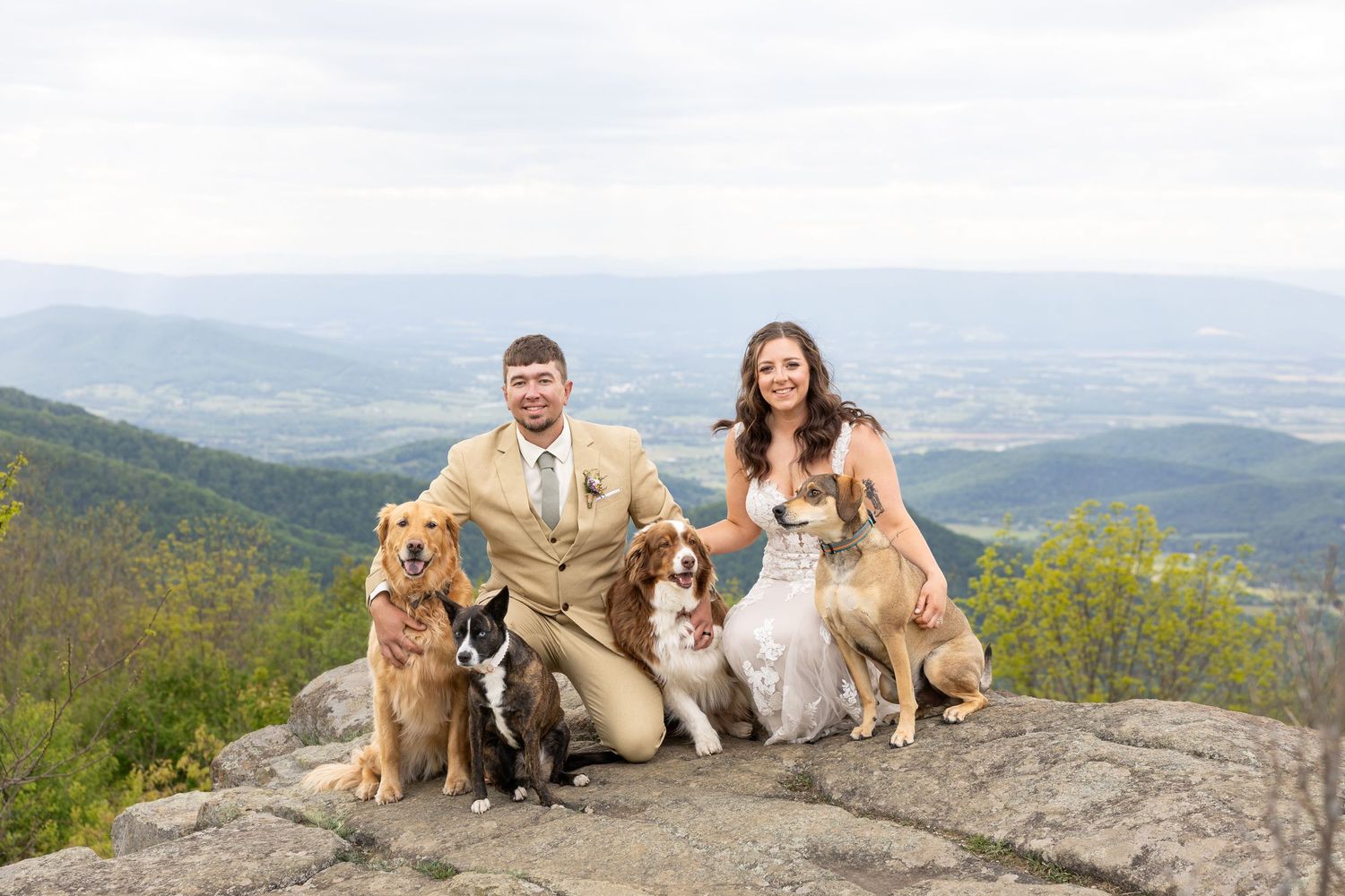 Bride and groom pose with four dogs on a rocky mountain overlook with scenic valley views on their wedding day.