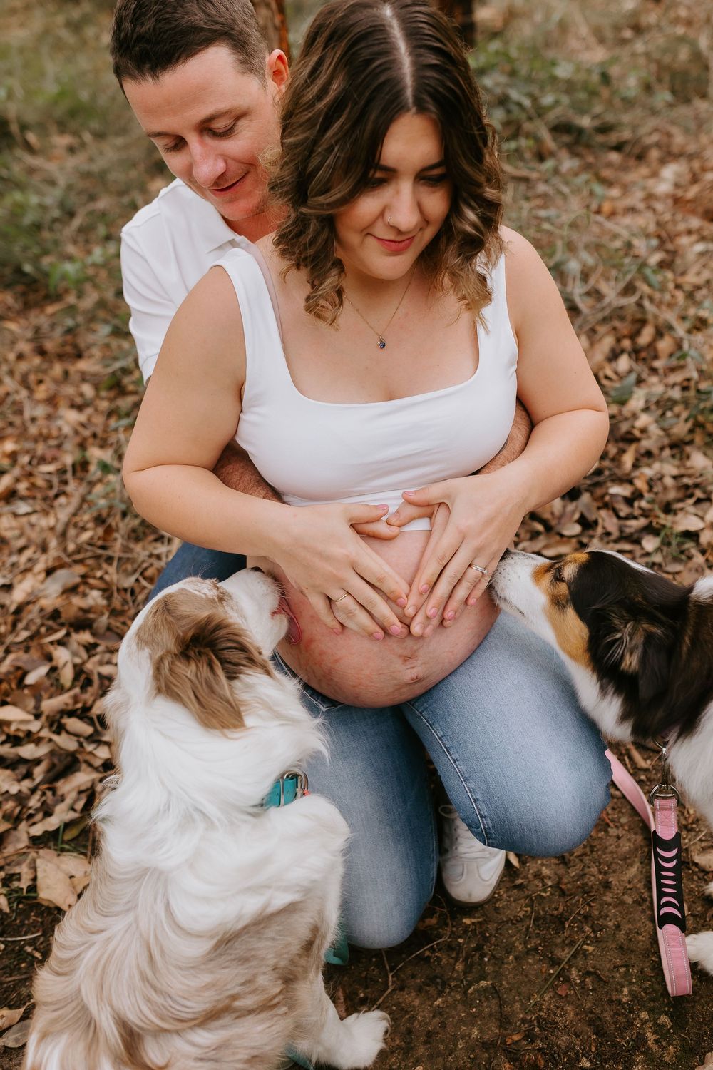 Pregnant couple making heart shape on baby bump outdoors with two dogs on autumn leaves.