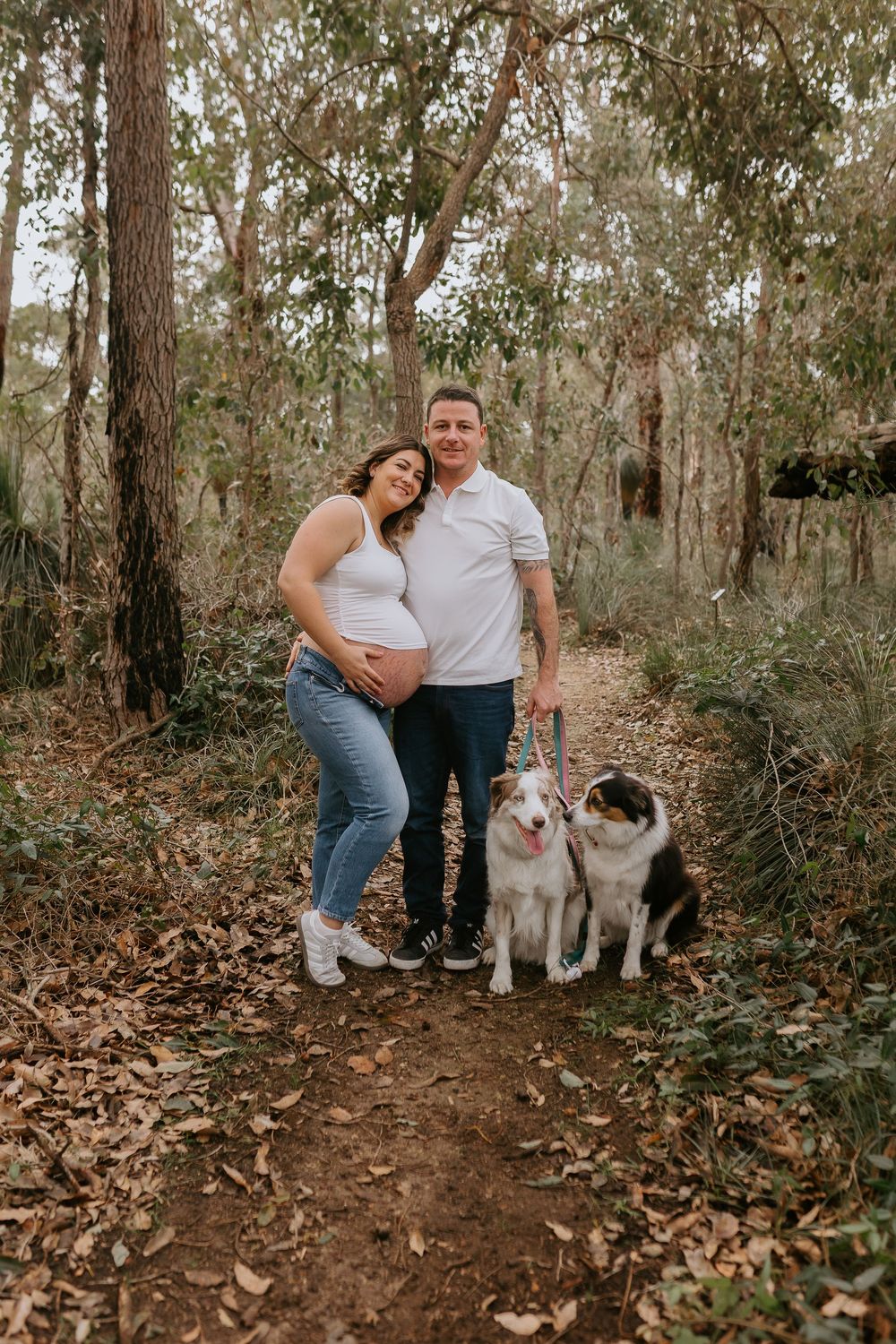 Pregnant couple smiling with two border collie dogs on a forest trail surrounded by eucalyptus trees.