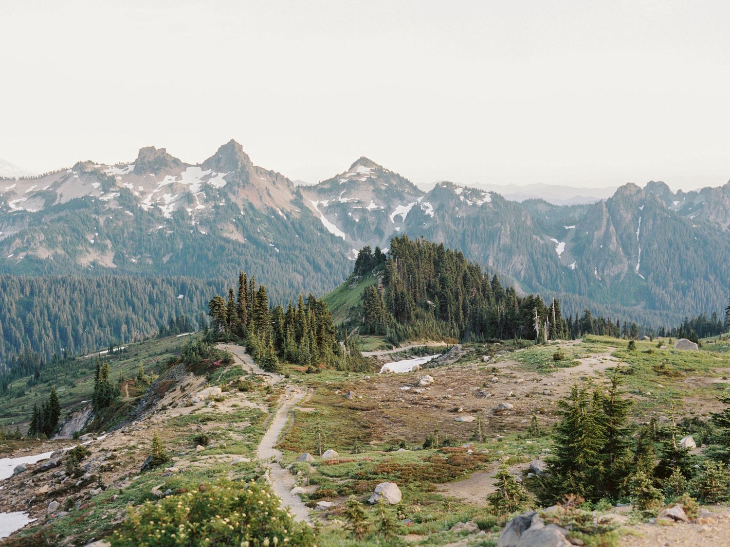 Paradise Loop at Mount Rainier