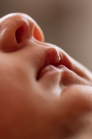 Extreme close-up macro photo of a newborn baby's nose and lips showing delicate soft skin details.