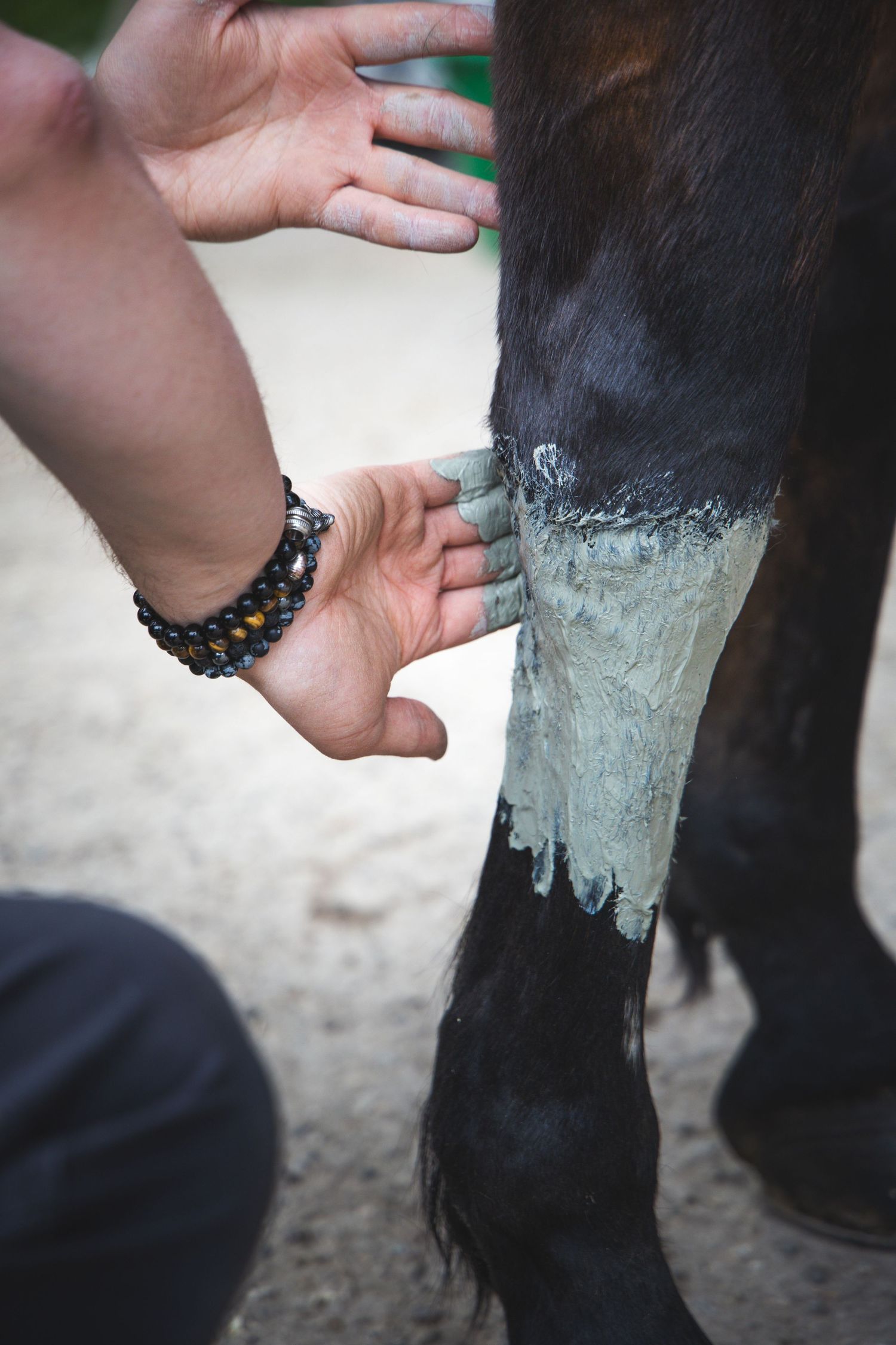 Argile / Cheval / Bien-être animal / Alsace