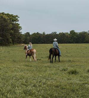Two riders on horseback traverse a vast green field under an overcast sky.