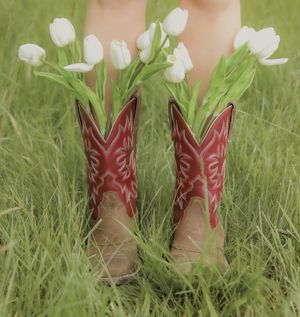 Red cowboy boots filled with white tulips standing in lush green grass.