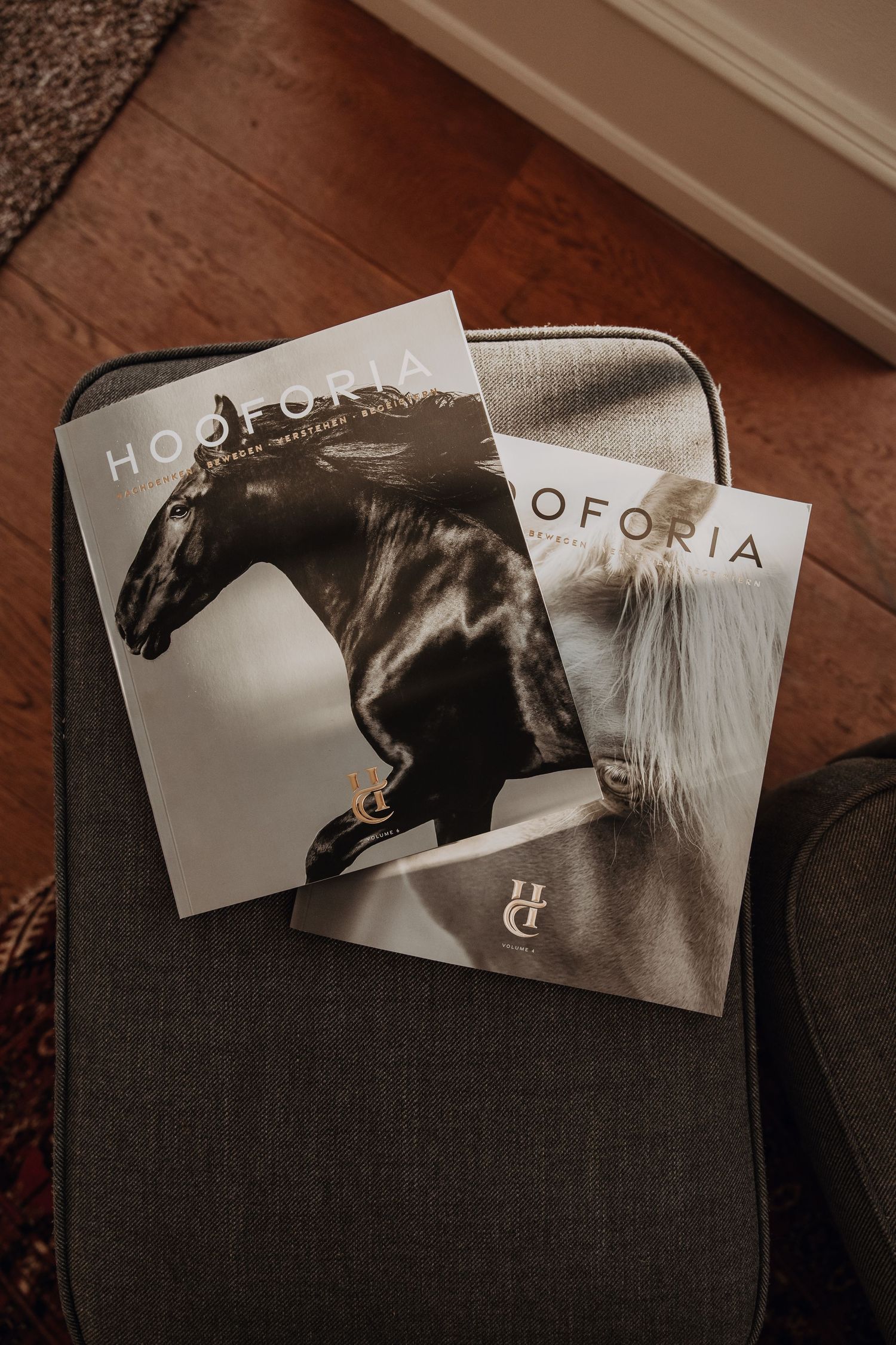 Two Hooforia equestrian lifestyle magazines featuring black and white horse photography resting on a gray chair.