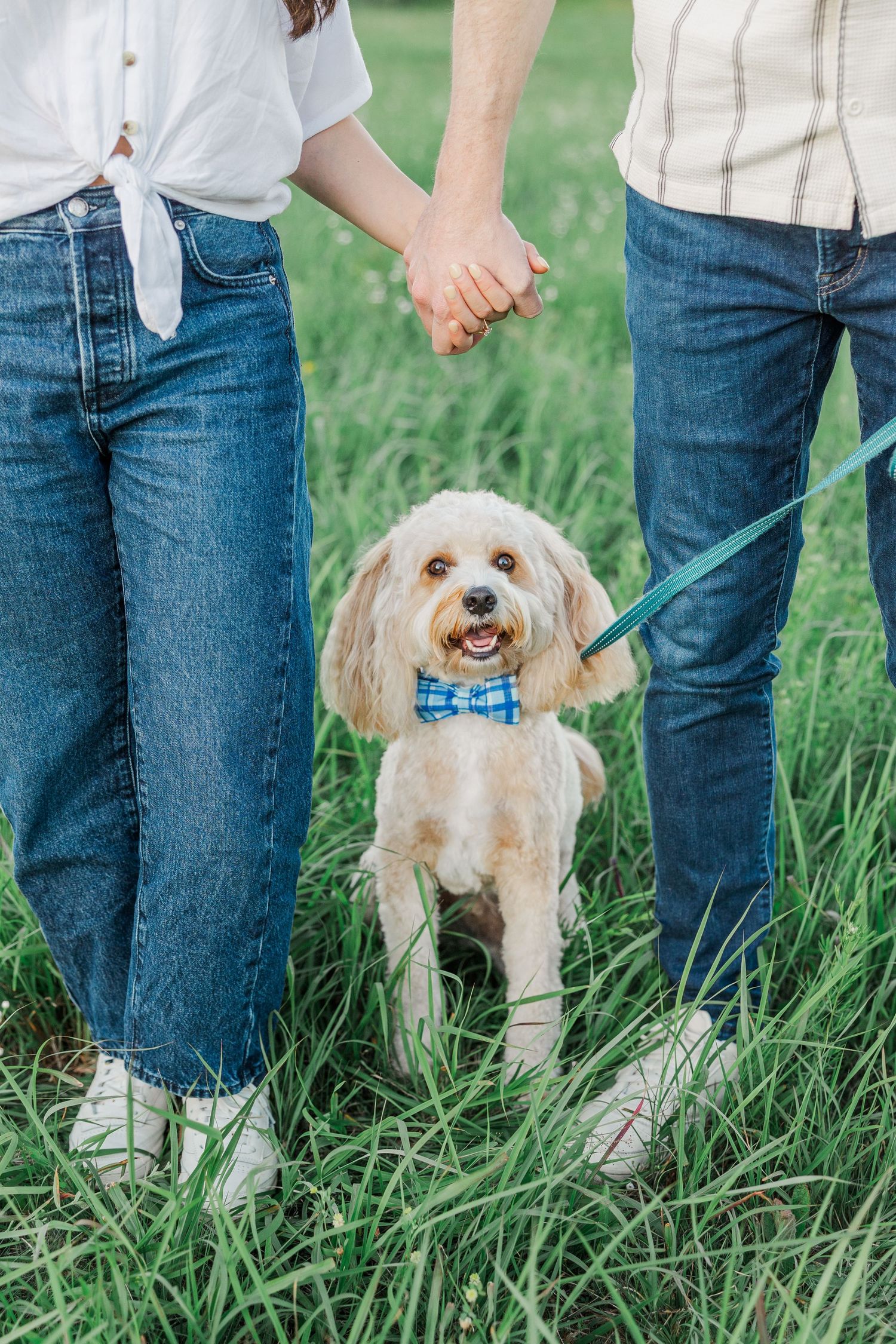 Couple holding hands in grass with a fluffy dog wearing a blue bow tie on a leash.