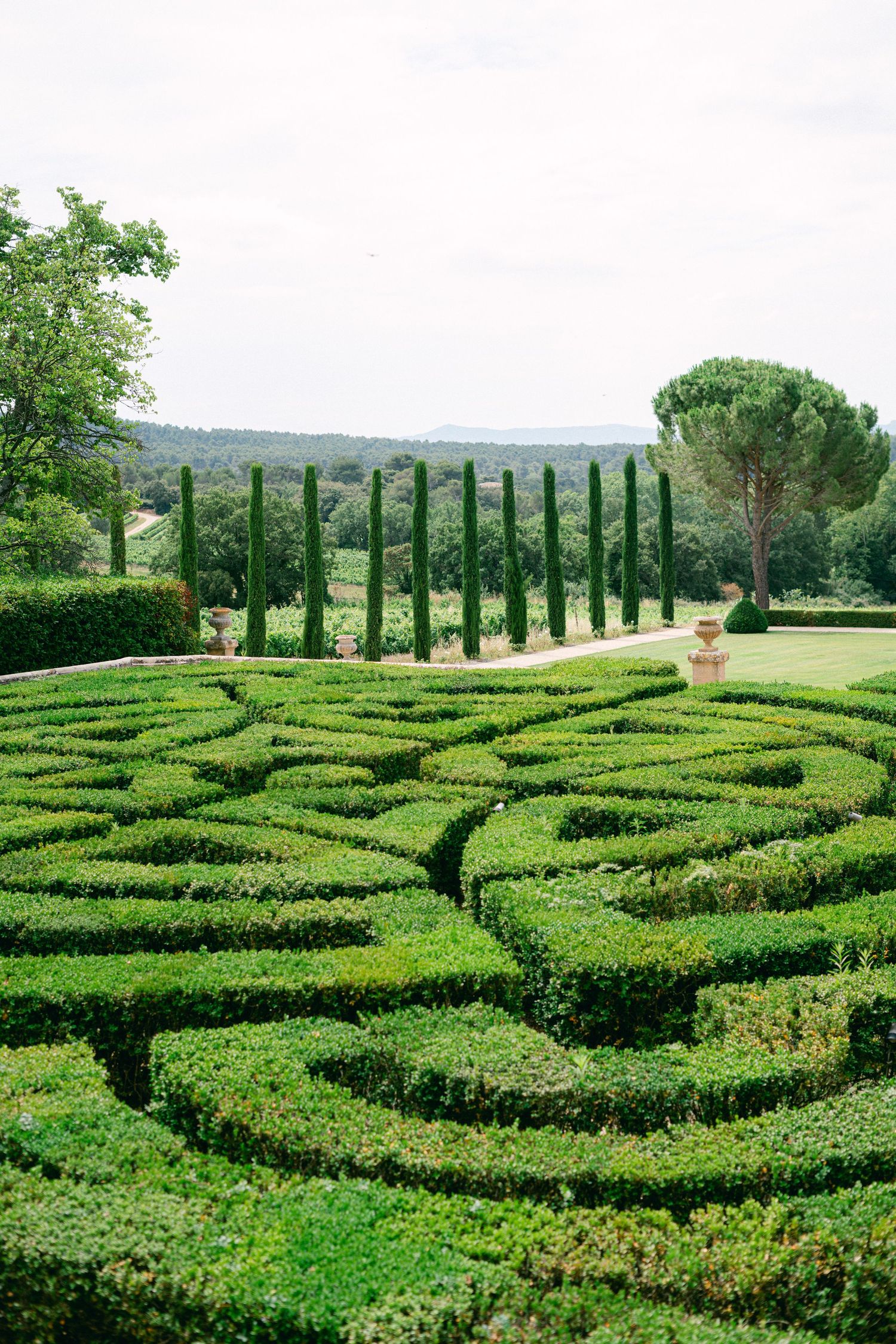 Formal French garden with intricate boxwood hedge maze, cypress trees lining a path, and lush greenery under overcast skies.