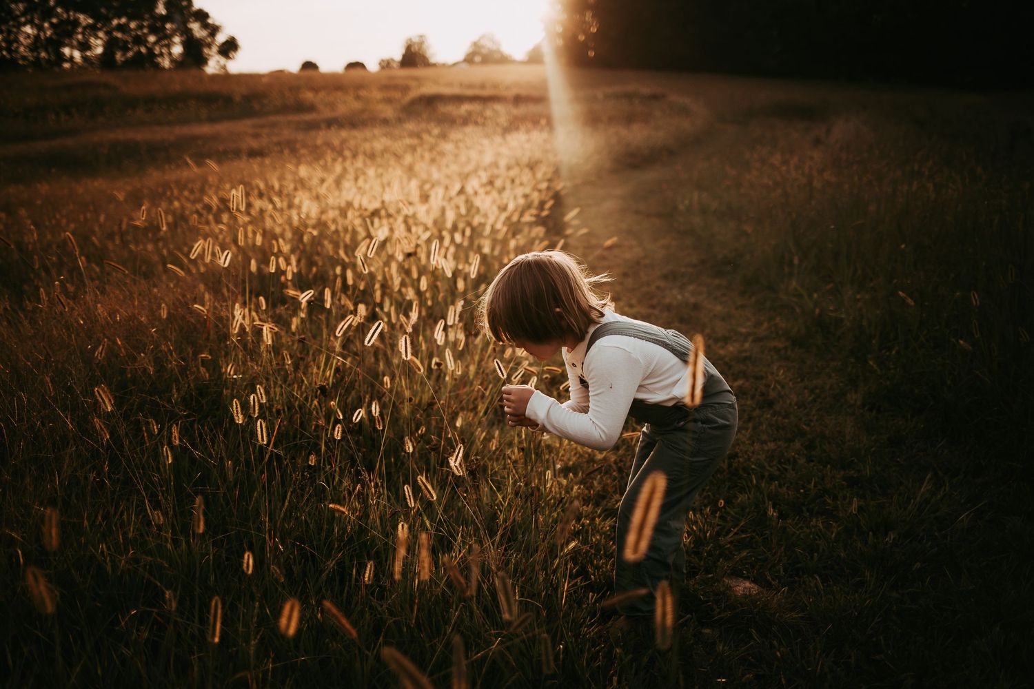 Child exploring golden wheat field at sunset in dreamy light.