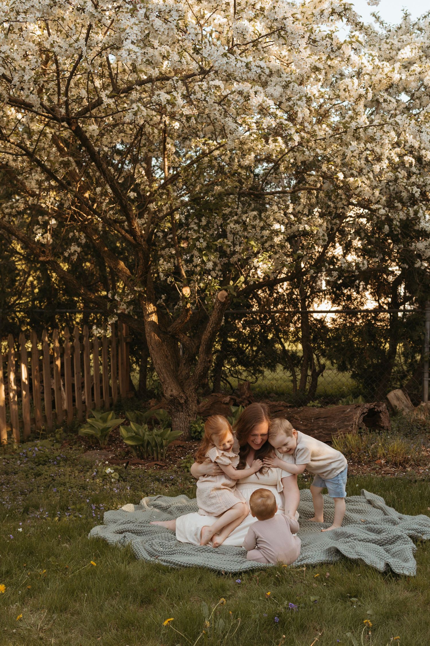 Mother snuggling on blanket under blooming cherry blossom tree at sunset with her three children.
