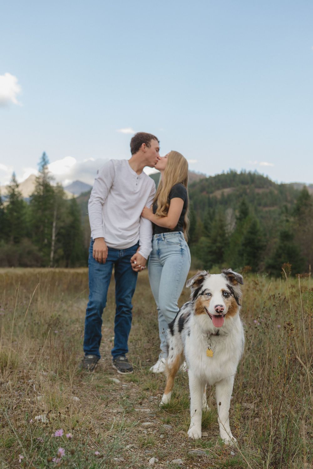 Australian shepherd dog stands in a grassy meadow with couple embracing behind trees and mountains in background.