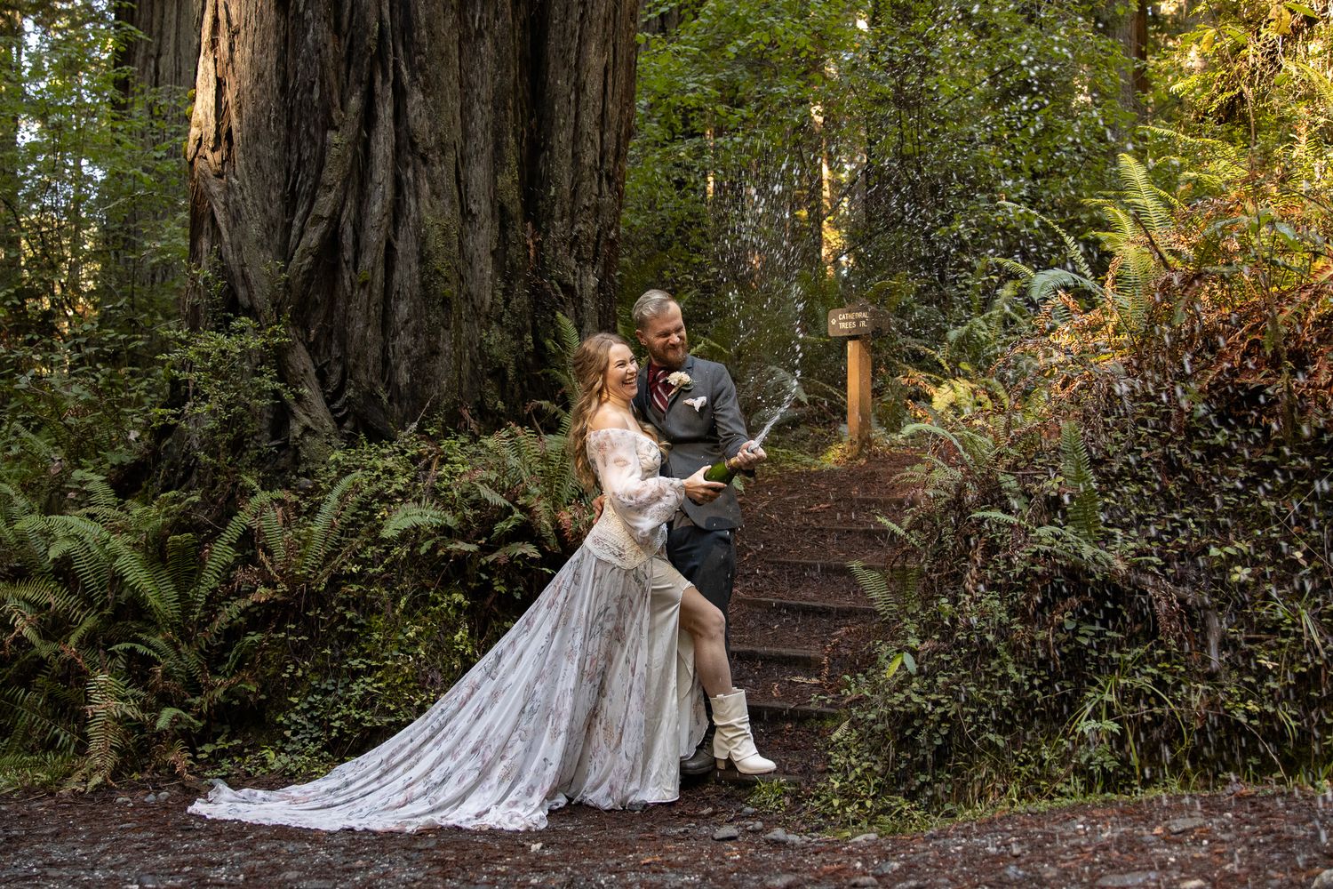 Couple In the California Redwoods Popping Champagne after their Intimate Elopement, Pacific Northwest Wedding Photographer