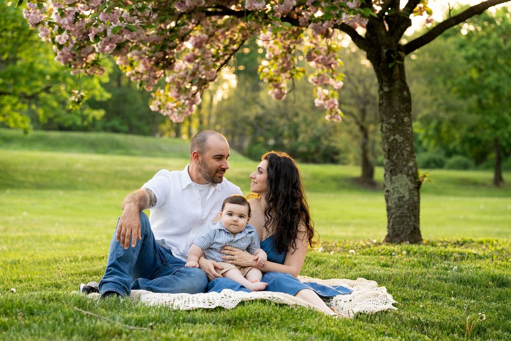 A family enjoys a relaxing picnic under a blooming cherry blossom tree during sunset on a spring day.