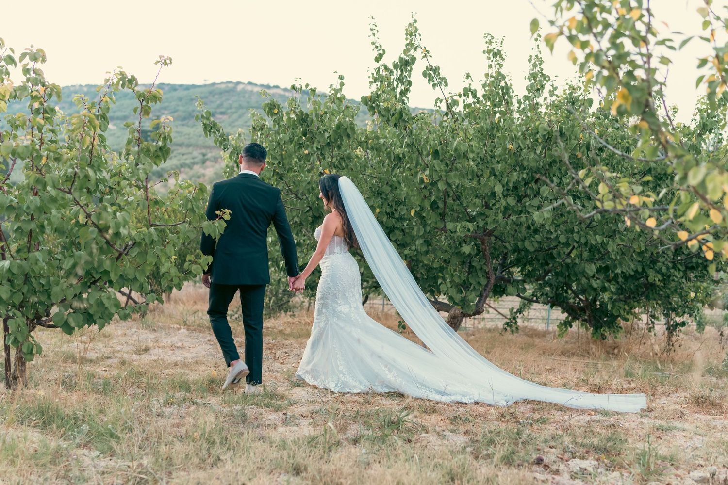 A couple walks through an orchard on their wedding day with a flowing white dress and veil trailing behind.