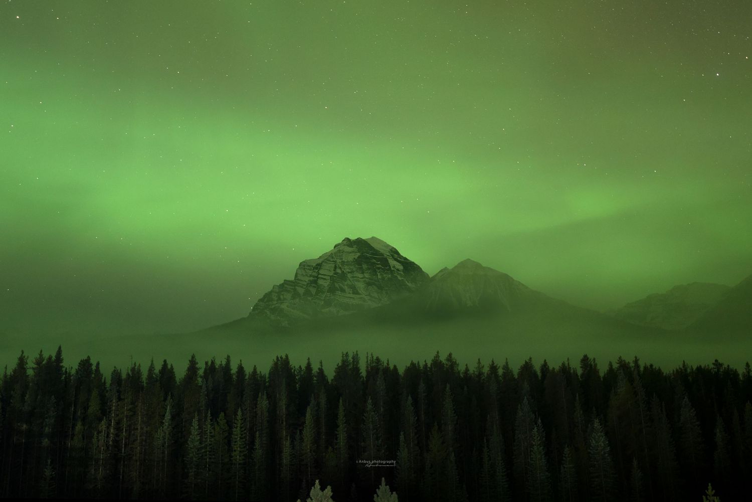 The Northern Lights illuminate a dark mountain landscape with vibrant green aurora above evergreen forest silhouettes.