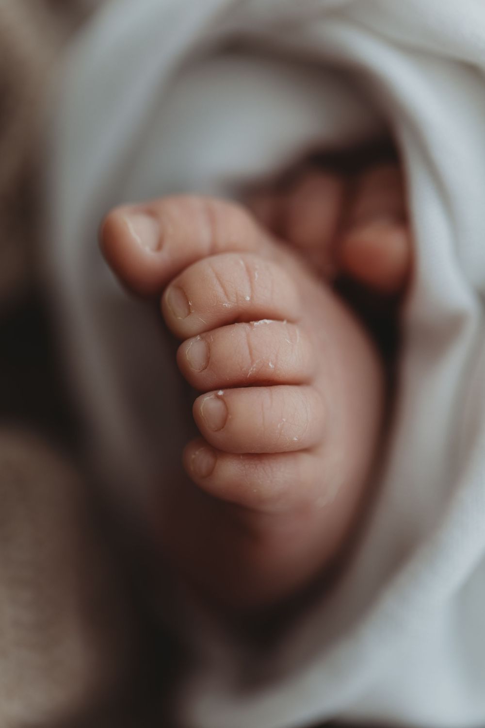Tiny toes
Verity Fields photography