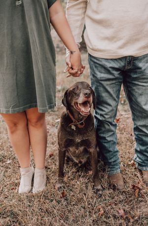 A couple stands with their chocolate Labrador dog in a casual outdoor setting with fallen leaves.
