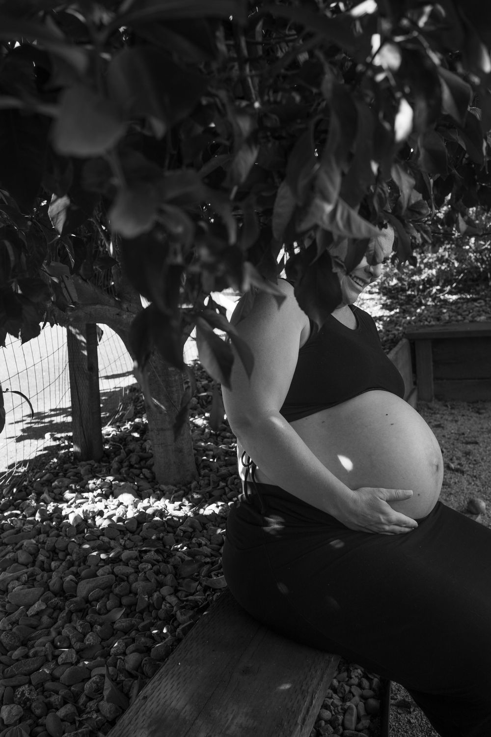 pregnant woman sitting under a tree