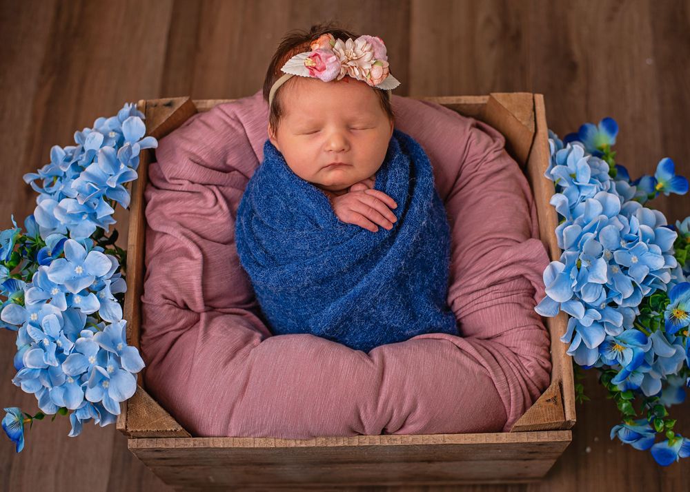 Newborn baby swaddled in blue wrap, sleeping in a wooden crate with pink fabric and blue hydrangea flowers.