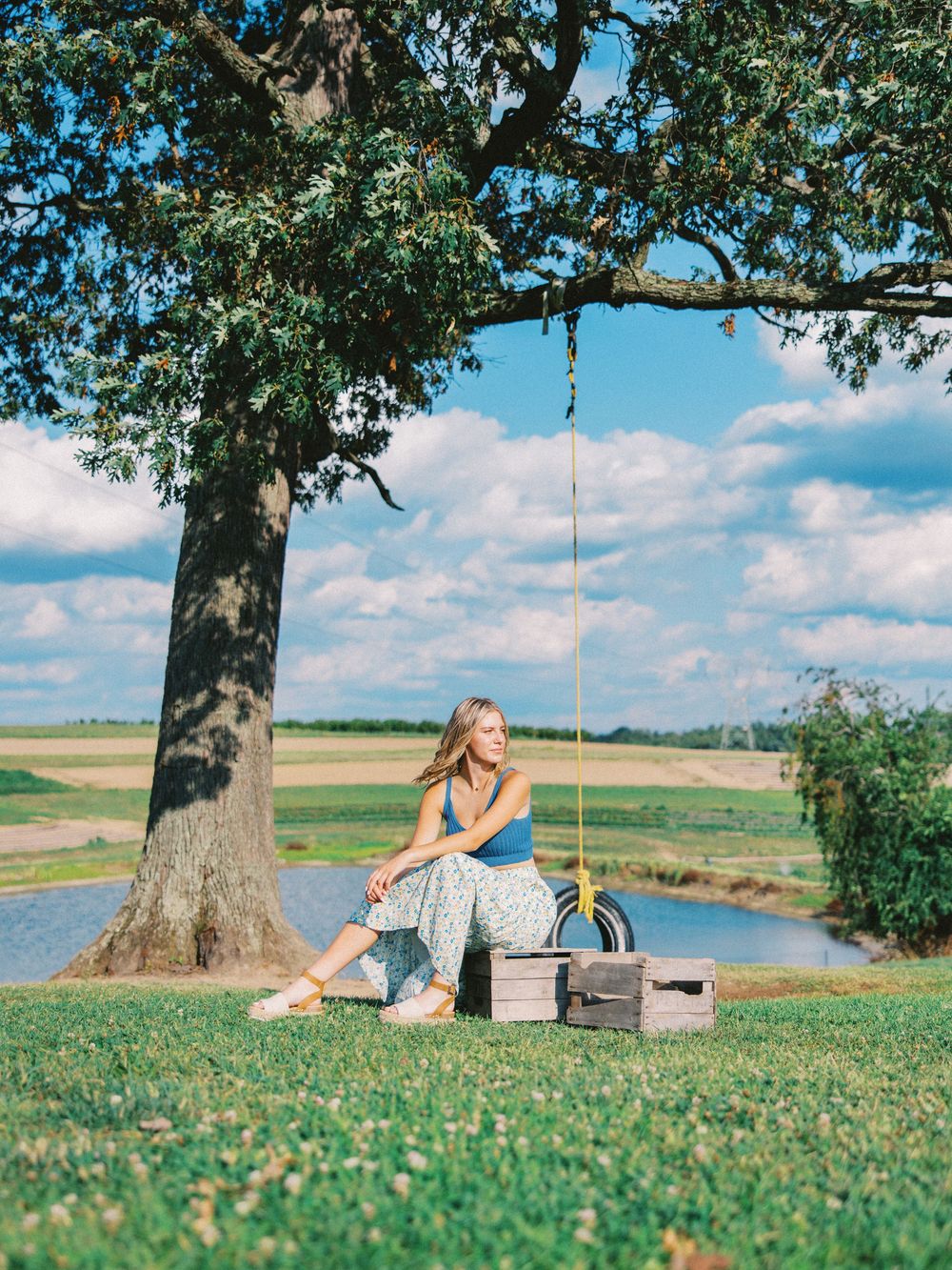 A rope swing hangs from a tree overlooking a scenic countryside landscape with picnic supplies scattered on the grass.