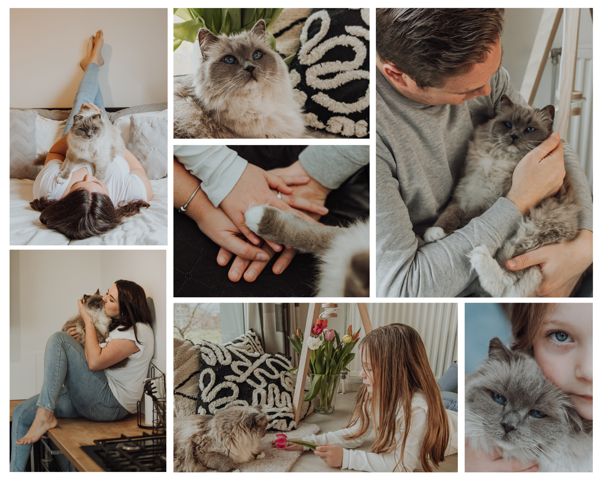 Documenting Family Photoshoot at Home in Maastricht with their Ragdoll Cat