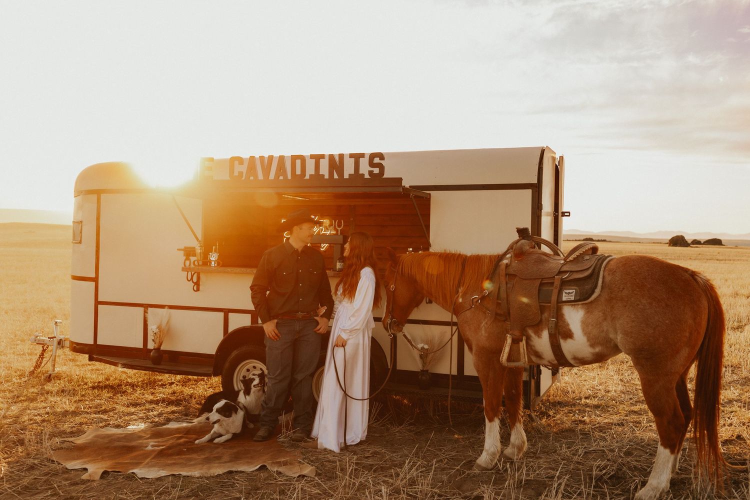 equine photography