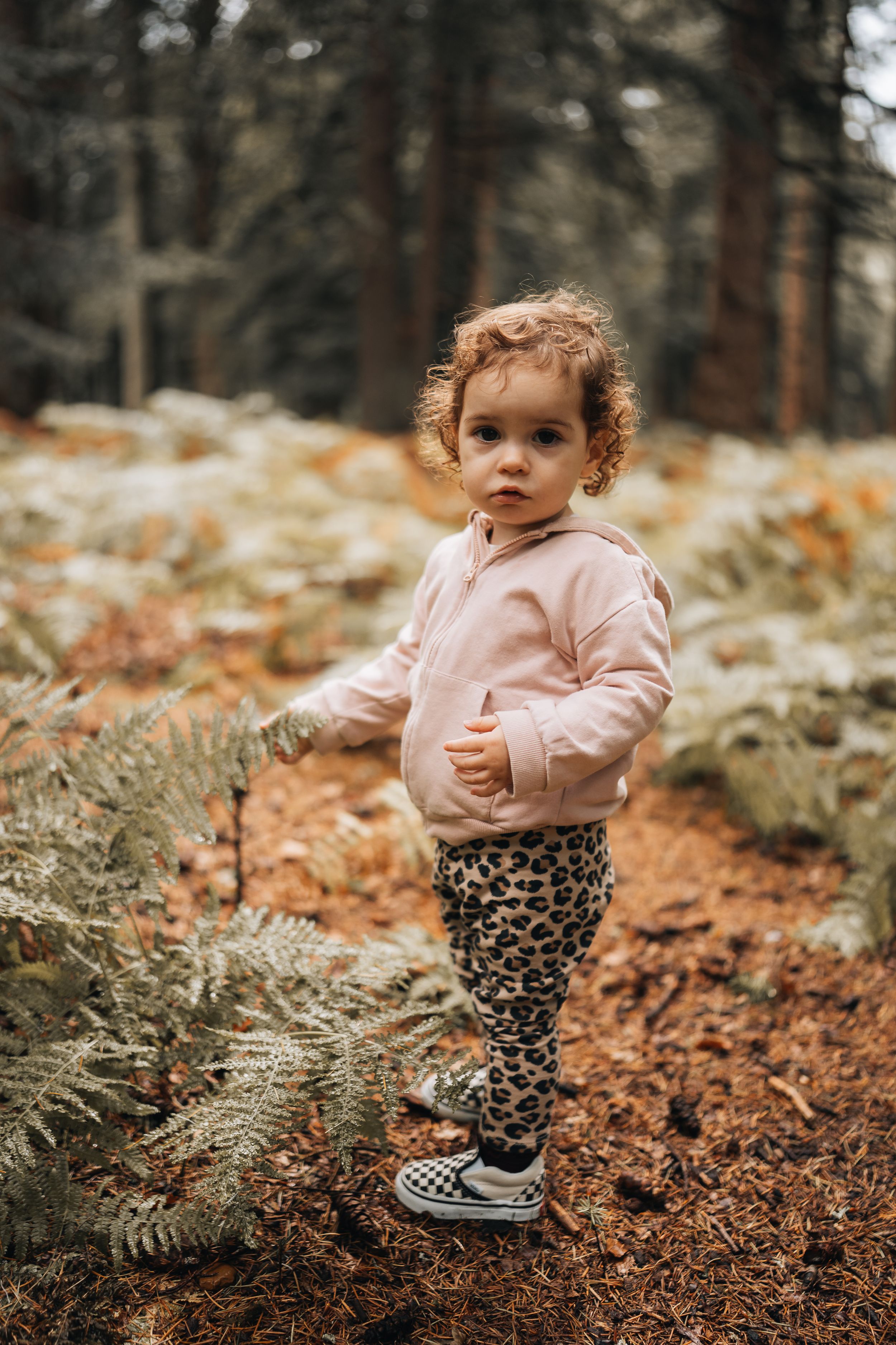 Toddler in pink sweater and leopard print pants explores autumn forest floor.