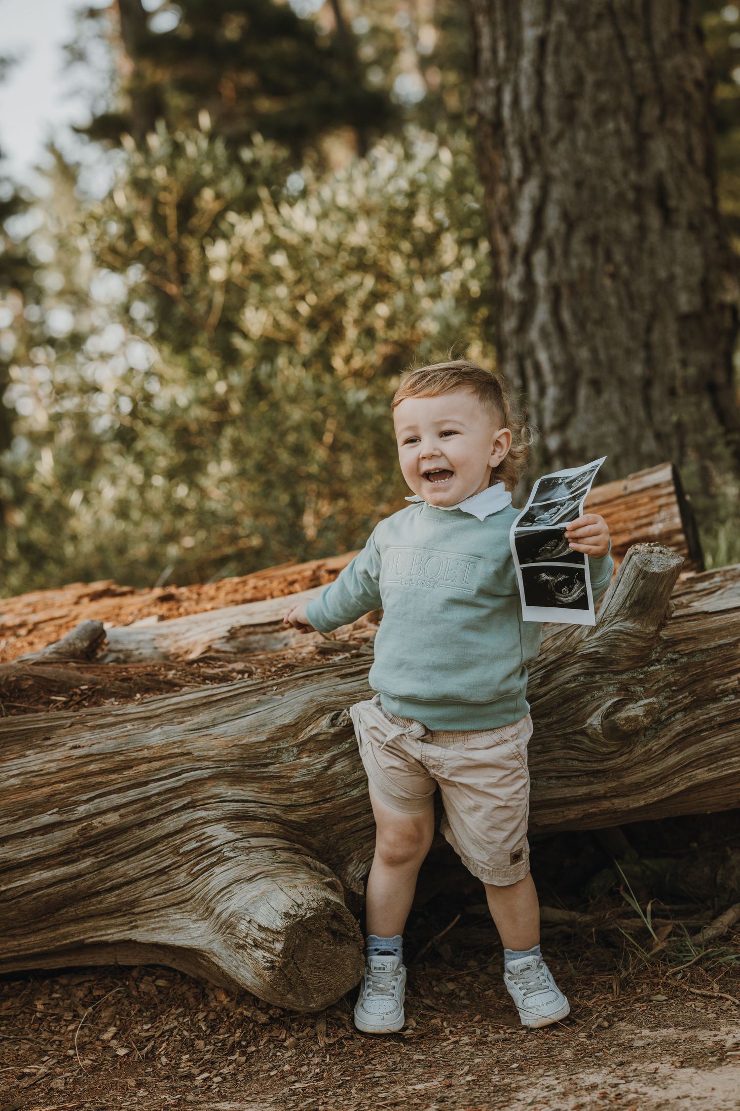 Smiling toddler boy holding ultrasound photos while standing against a fallen log in a forest setting.