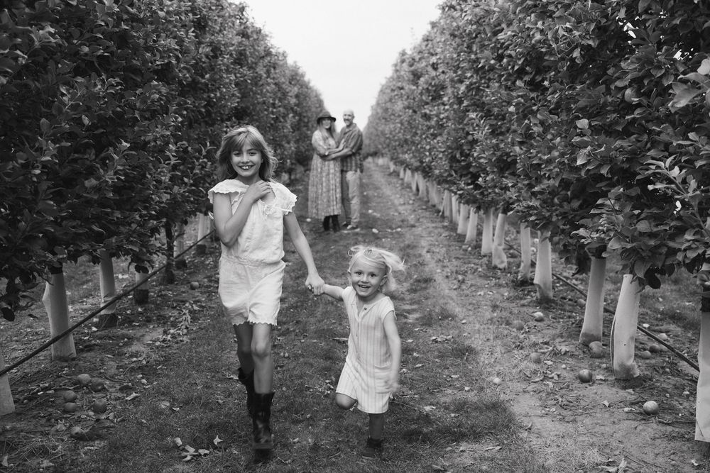 A series of black and white photos showing people picking fruit in an orchard during harvest season in Elmira Ontario