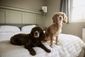 Maternity and Newborn photographer & videographer in Edinburgh, Glasgow and Fife