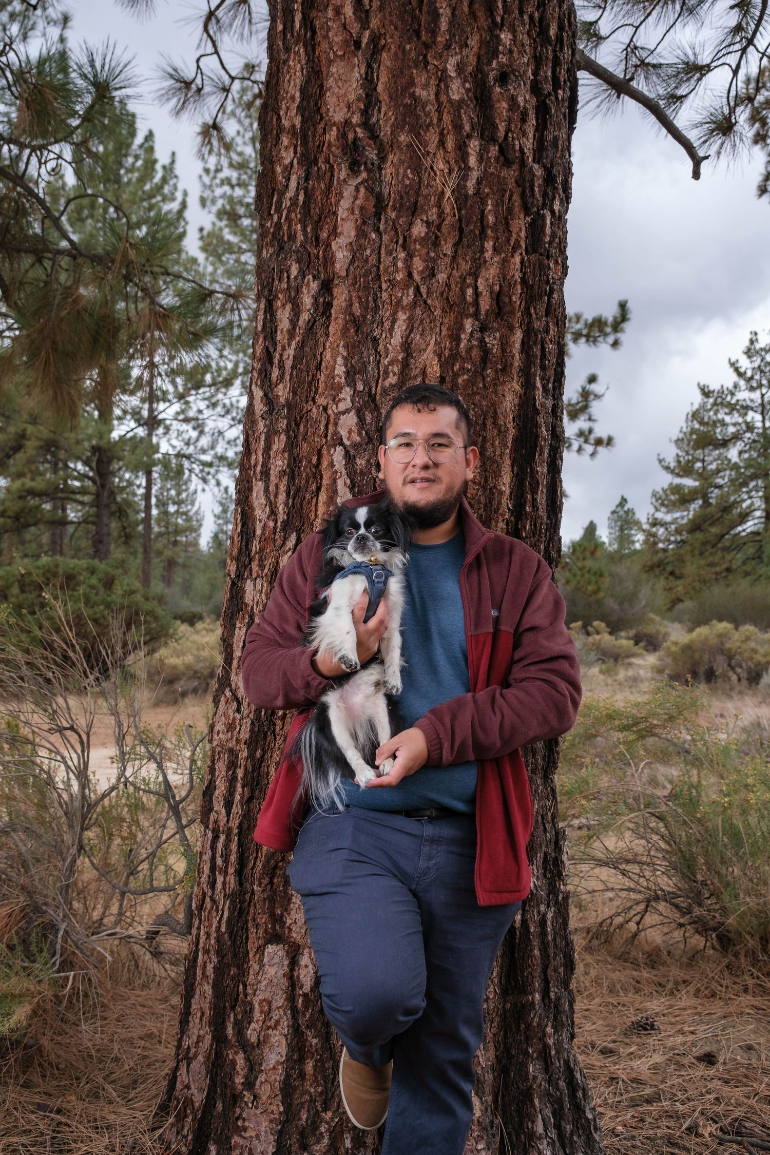 Person in casual attire holding small dog while standing against large pine tree in forest.