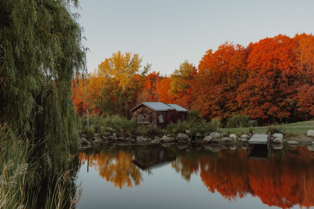 photographe touristique. Photo d'automne 2025. Feuilles oranges et jaunes.