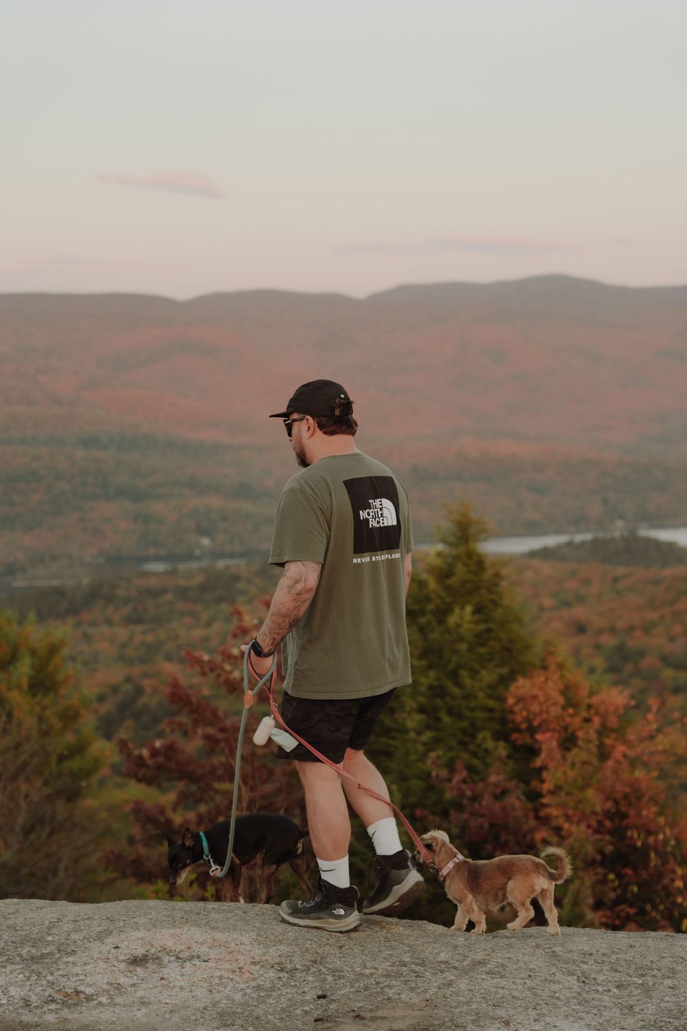 Photographie avec les couleurs d'automne. Dans les Laurentides. L'heure dorée avec ses chiens.