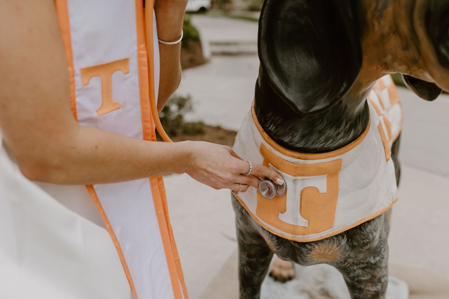 University of Tennessee Knoxville Graduation Photographer