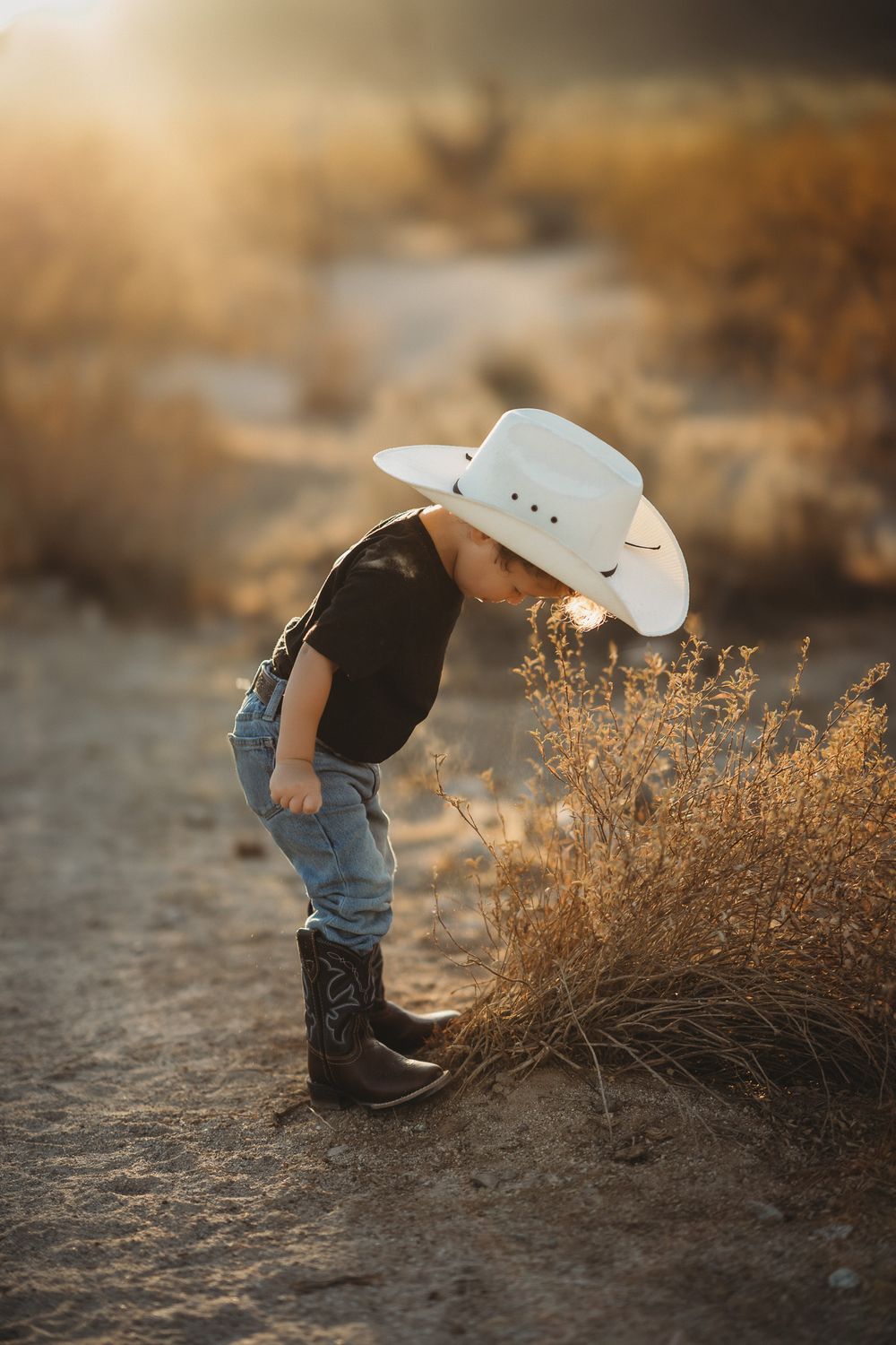 cowboy milestone
